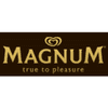 magnum work with web sealer with shrink tunnel machine manufacturer