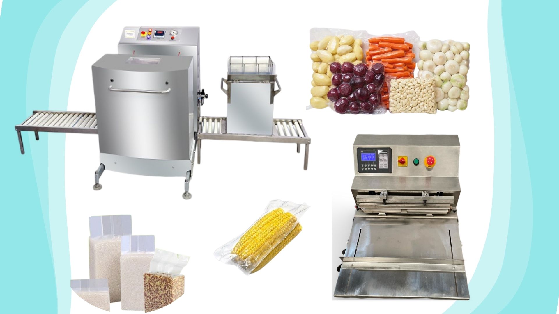 Vacuum Packaging Machines